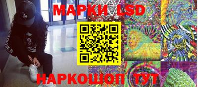 гашик Кимры