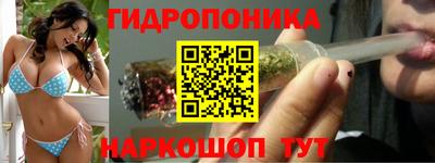гашик Кимры
