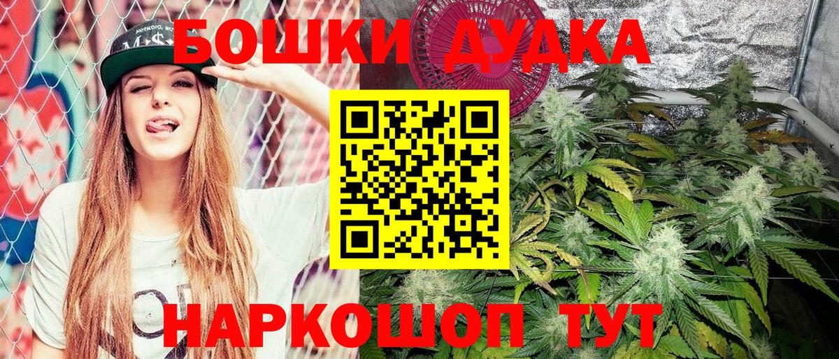 Каннабис планчик Корсаков